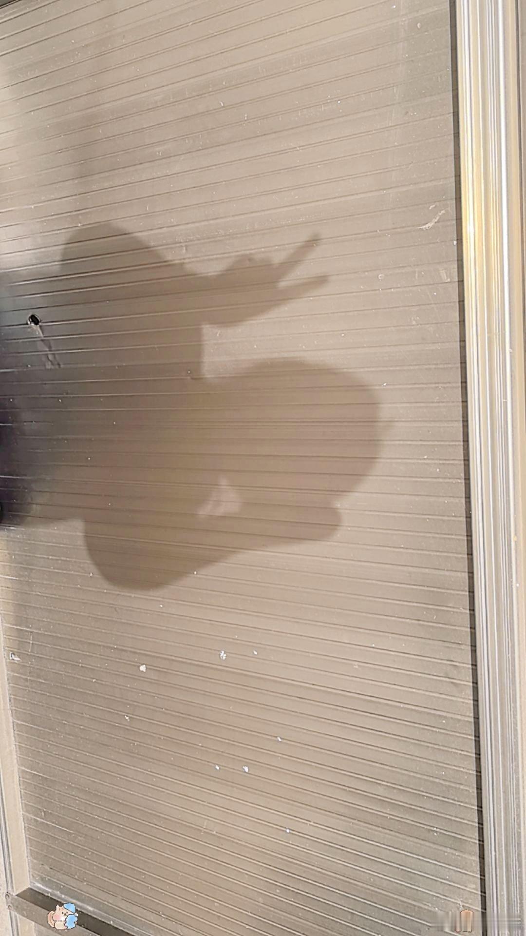 随手拍忙忙碌碌的一天！ 