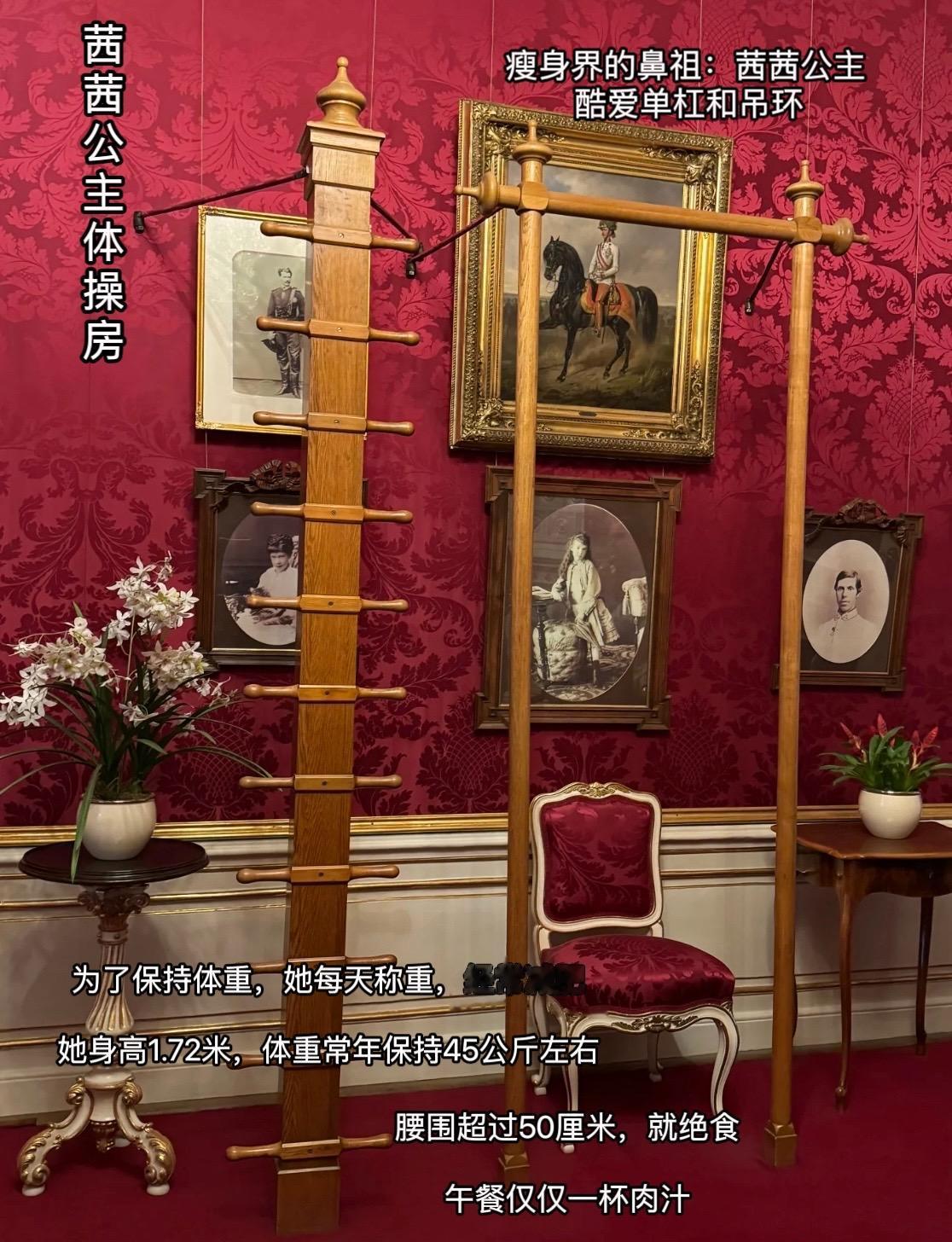 茜茜公主，被美貌困住的一生，她什么都控制不了，只能极端地对待自己，爱情...