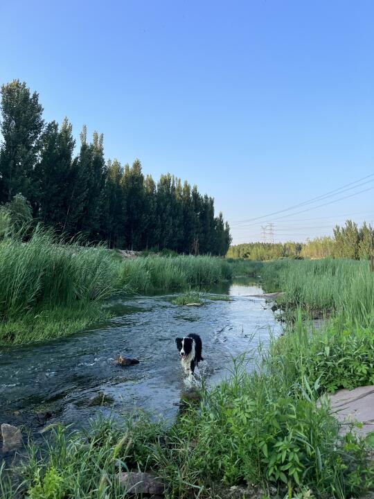 在乡下生活🌳村野 赶集 自在生活
