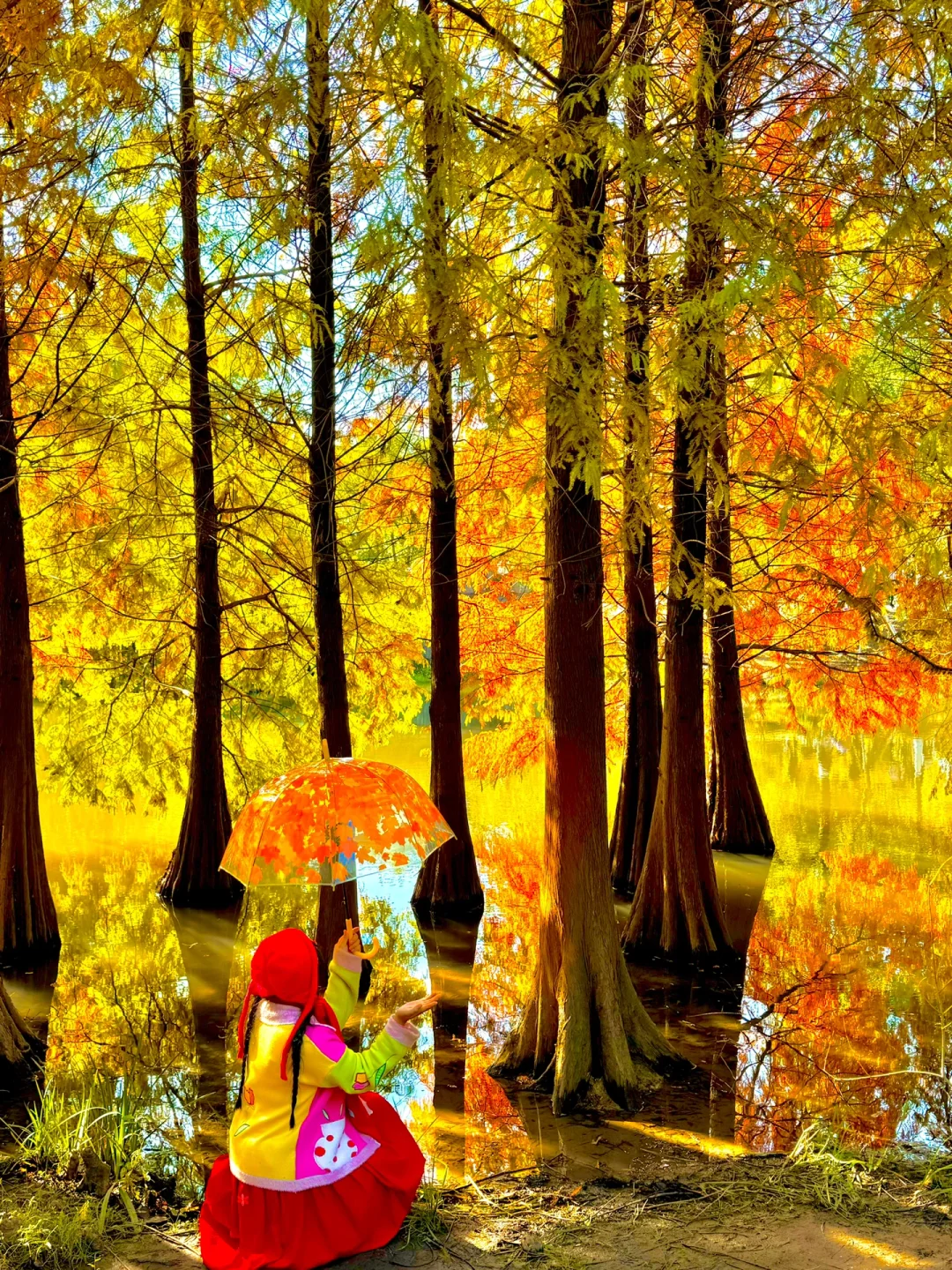 南京秋天适合拍照呆一下午的地方🍂live合集