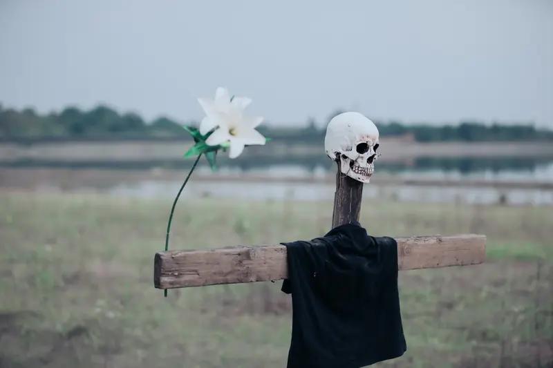 人死后，听觉还会保留3-4分钟

我们总以为，心跳停止的那一刻，一切就结束了。
