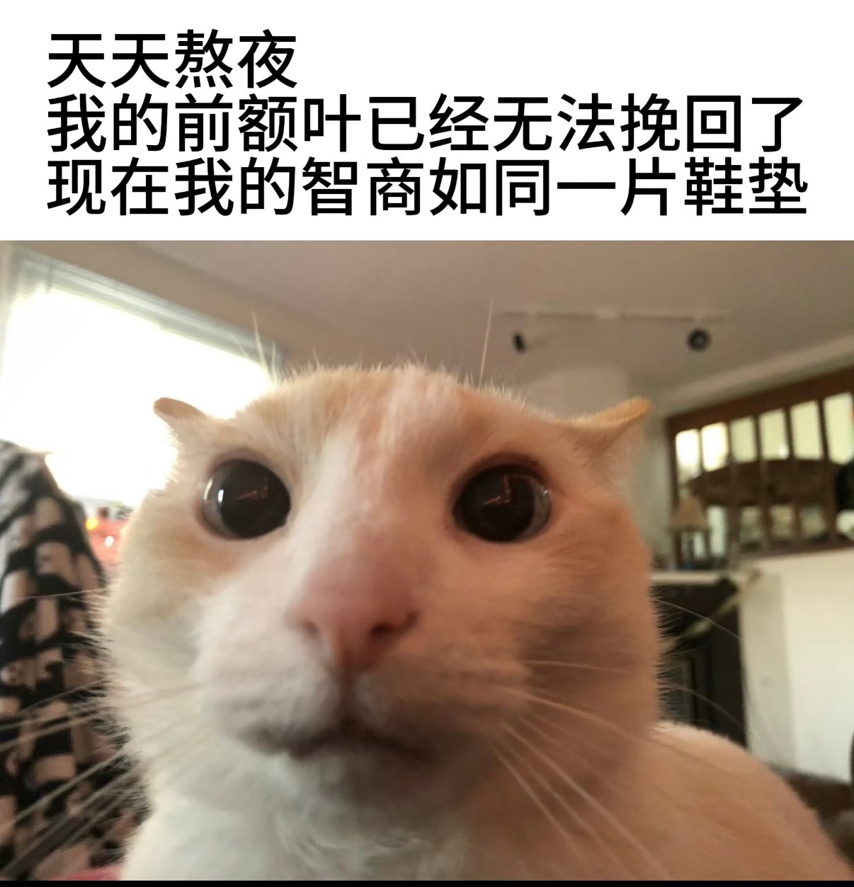 今年高考英语作文题目是当运动遇到AI…感觉这个题目还挺难的高考毕业过去这么多年，