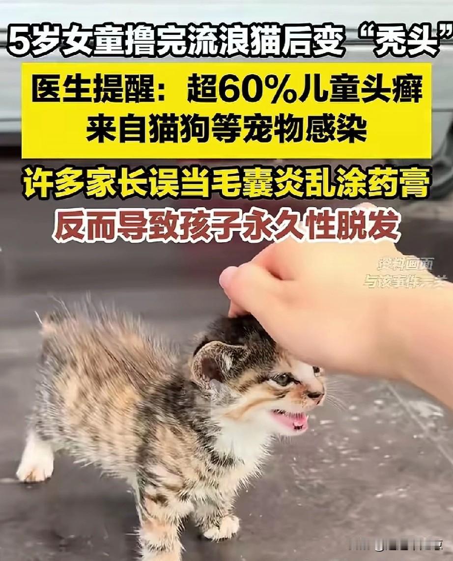 千万千万不要让自己的孩子随随便便去撸流浪的小猫小狗啊！一名重庆5岁的小女孩就因为