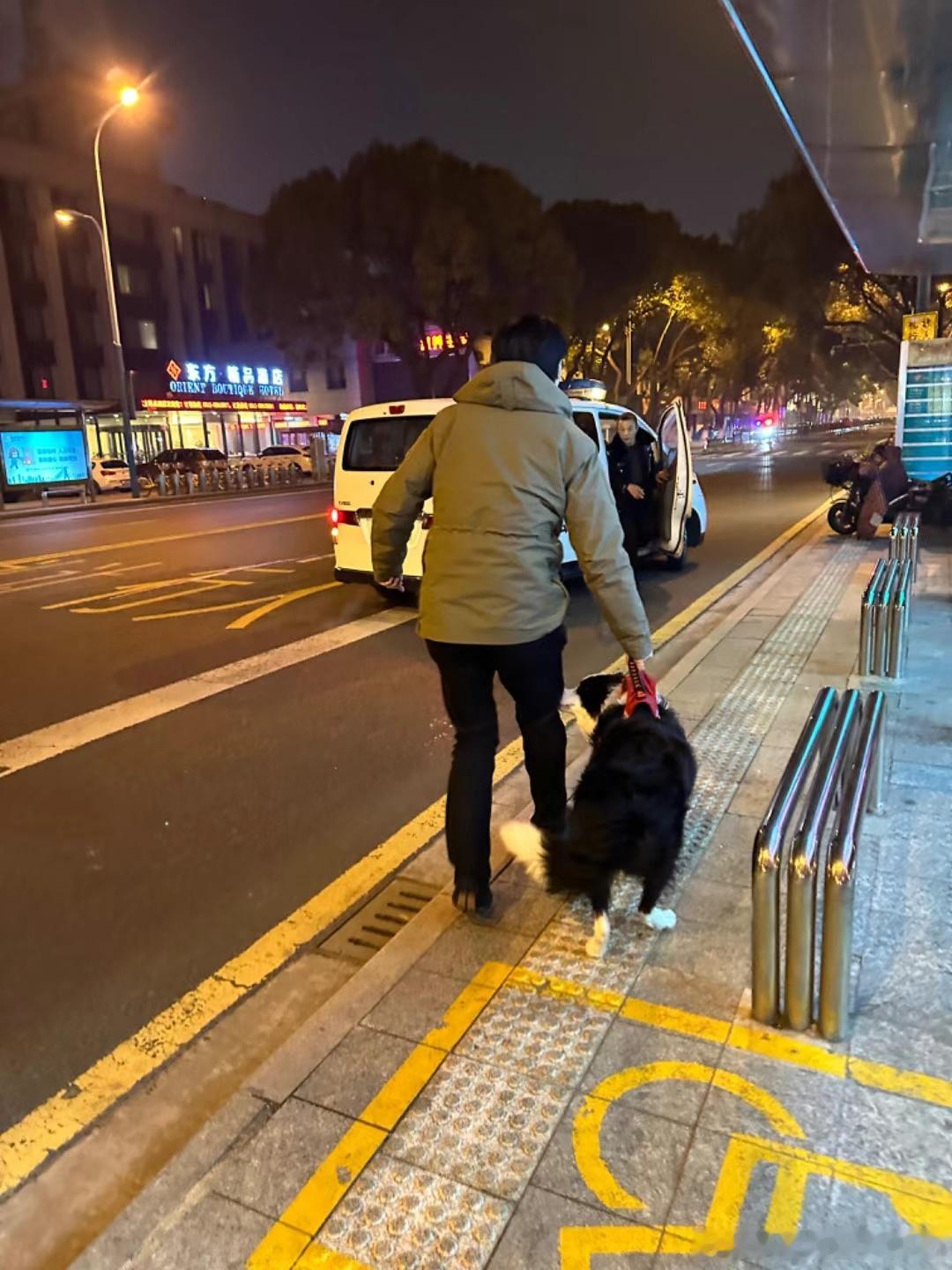 苏州张家港路边捡到一只边牧，很可爱，交给警察叔叔了，希望它尽早回到家里。 ​​​