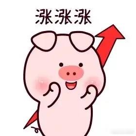 5.24精选下周最具上涨潜力的几大板块及个股。可关注收藏！！1、储能利和兴、安科