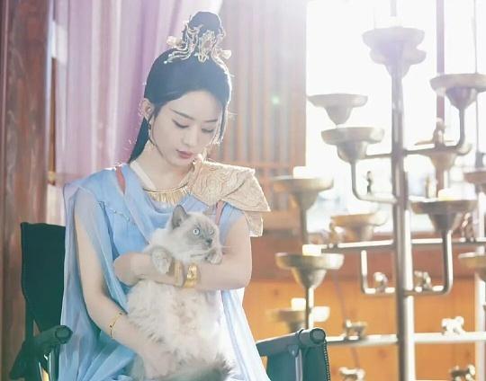 赵丽颖一张抱猫剧照，轻松登顶热搜。

画面里，灵界碧苍王沈璃怀抱萌猫，眼神温柔。