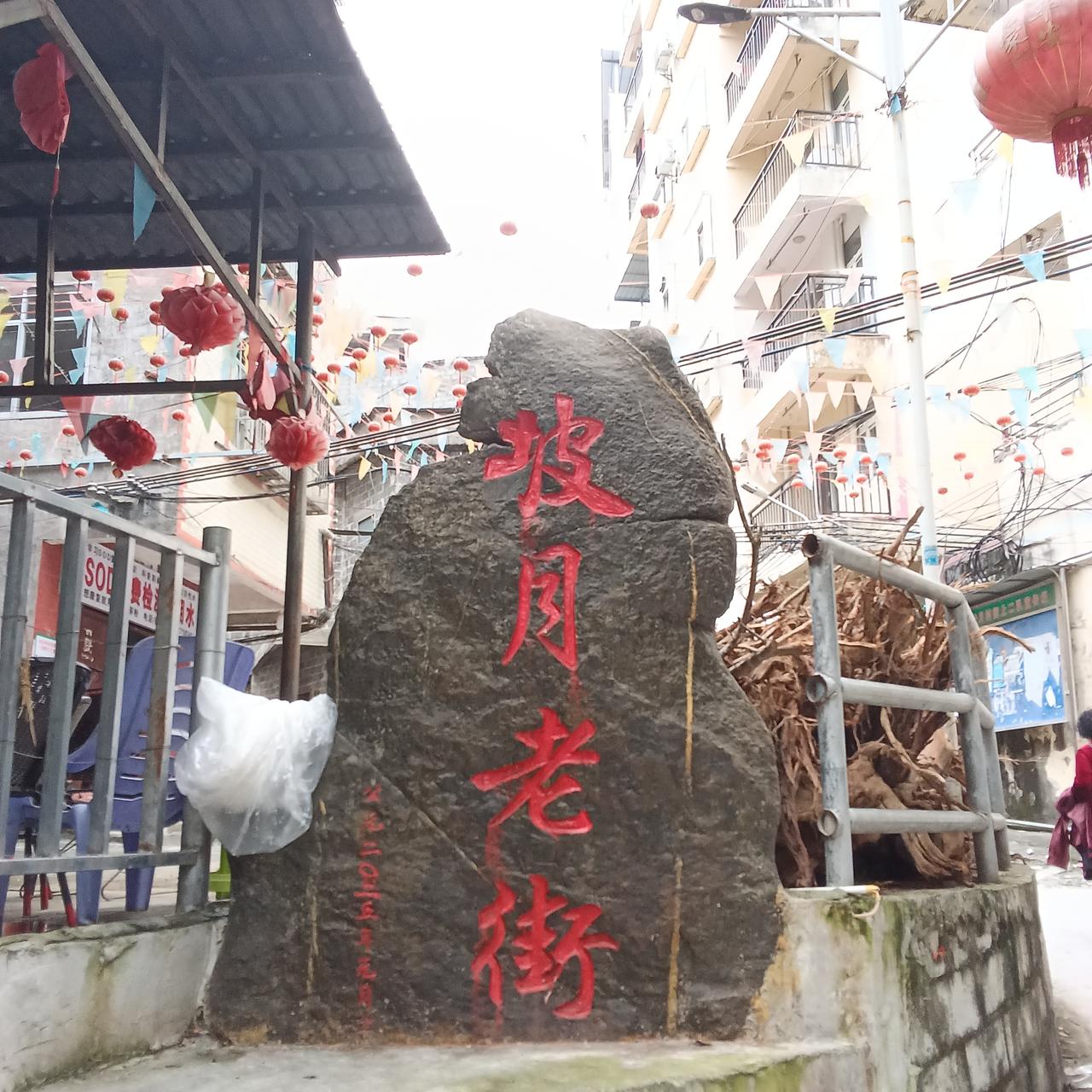 八马归来，感慨万千
两地情长，心皆安暖
 
历经五个月的巴马康养时光，我终于回到