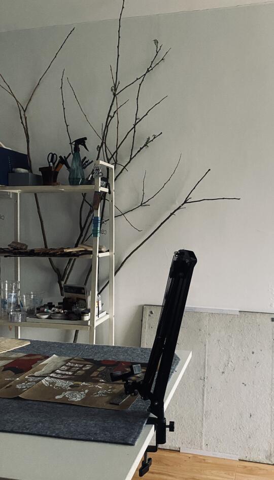 北京大风｜我和绿植领养的故事