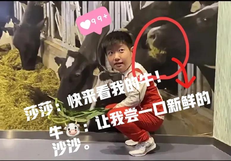 莎莎：快来看～～我的牛帅不帅！
牛：哞～～让我尝一口新鲜的莎莎[惊呆]


猛得