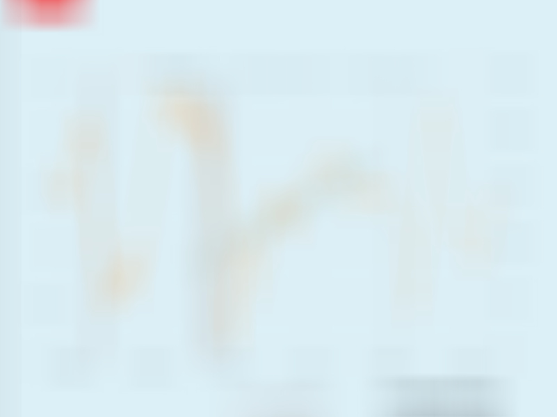 对美国债务周期的预测结果。预测数据到2026年12月份。 