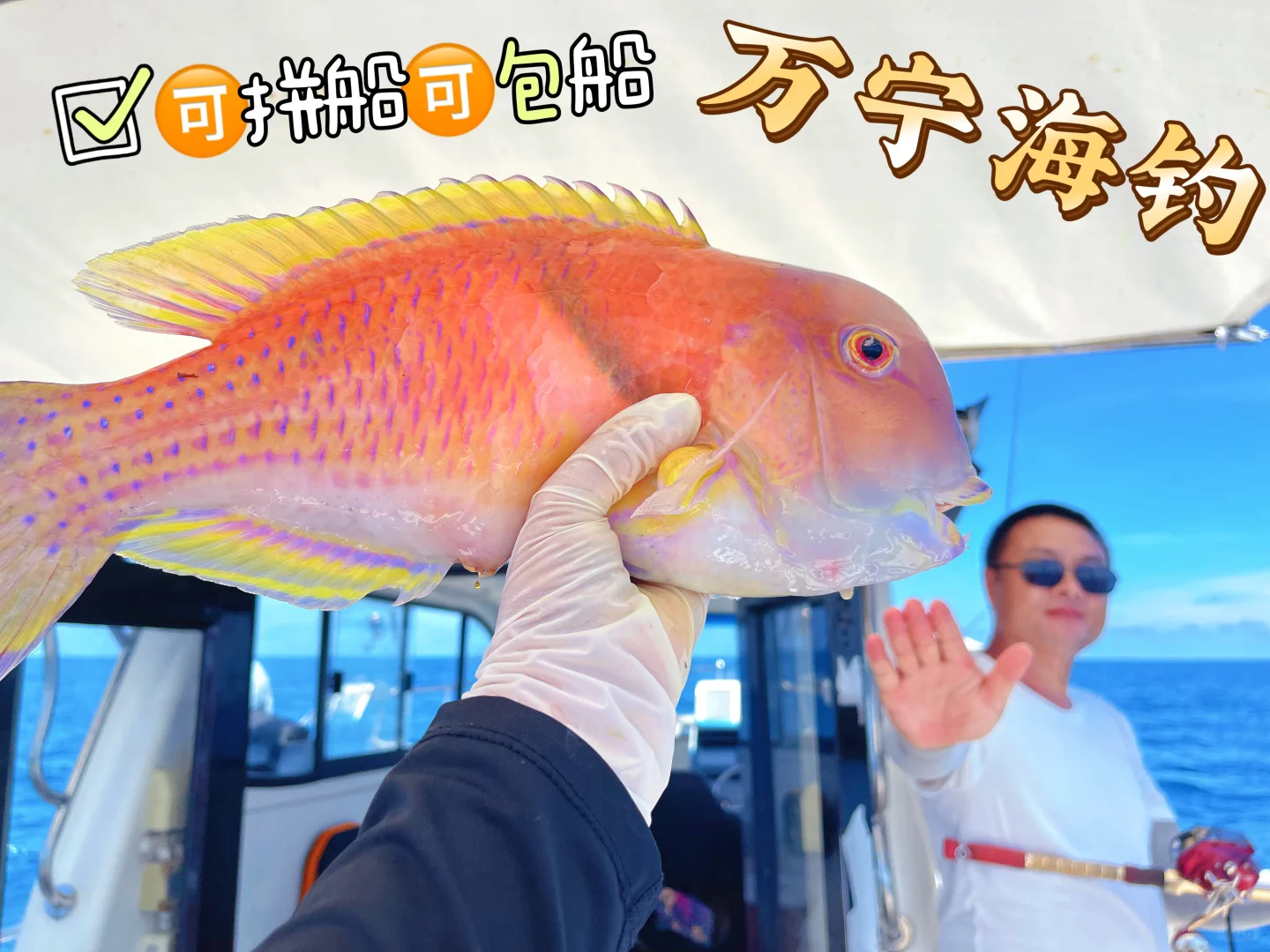 这是我吃过最好吃的海鱼🐠