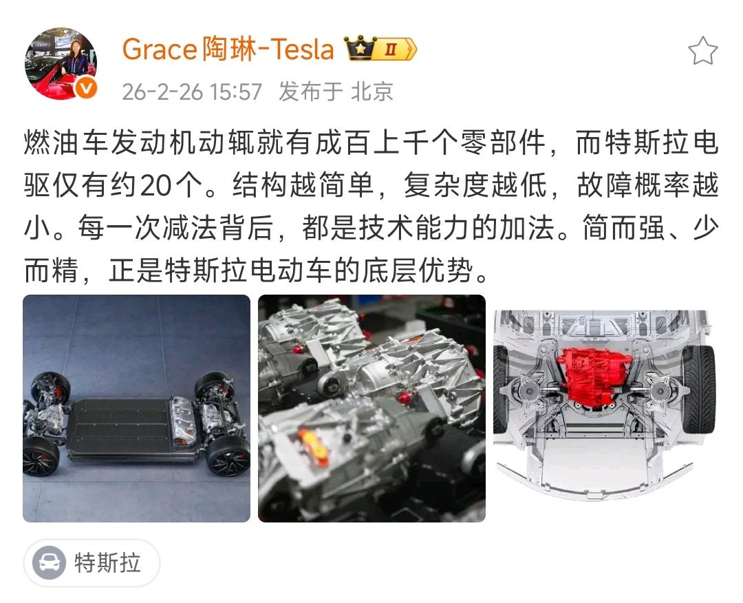 特斯拉再厉害也不能夸，在国内这叫生存智慧，不然会被无脑“爱国党”喷得体无完肤，不