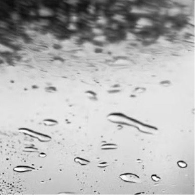 🌱 人都有两个自己，一个芒火四射，一个暗淡无光。接纳前一个自己容易，接纳后一个