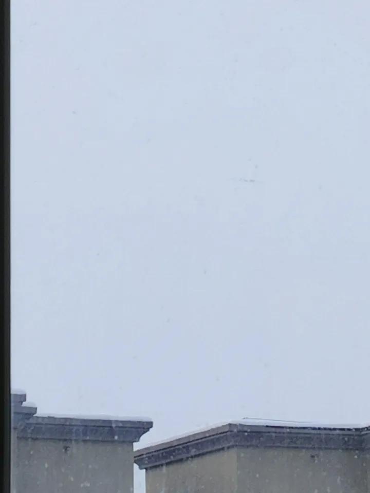 你心目中认为哪些人都应该享受低保