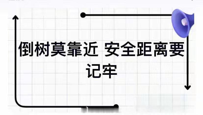 怕芒果被风吹走男孩紧抓不松手一个男孩站在风里，双手托着树上挂芒果的枝条，画面被传