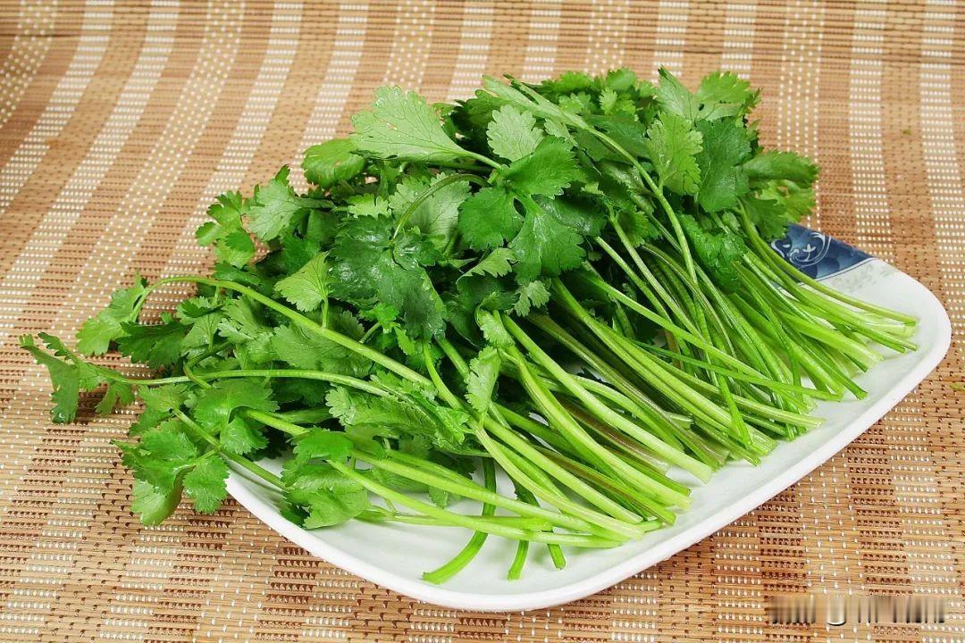 你能接受香菜的味道吗？当然接受，而且很喜欢，拌凉菜的时候放一点香菜，感觉很美味！