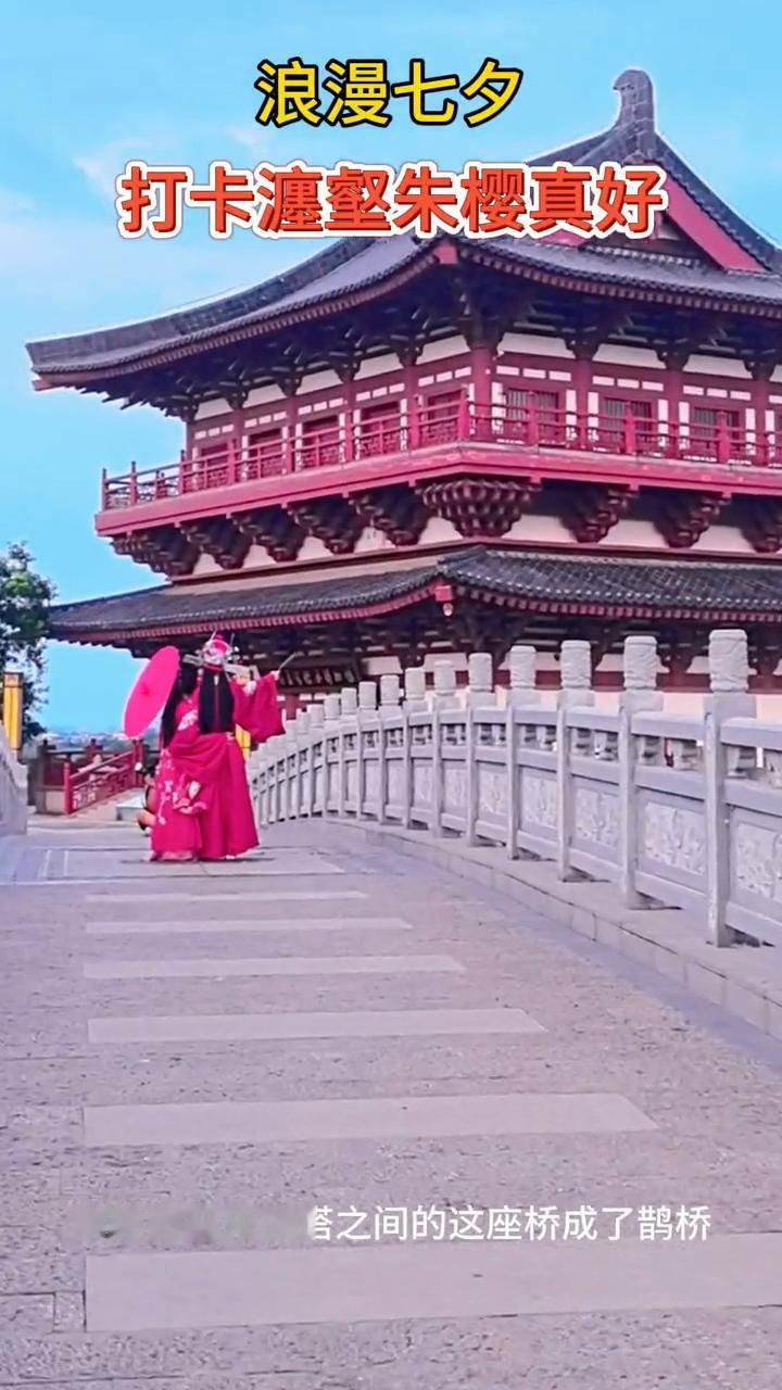 浪漫七夕，打卡瀍壑朱樱真好。
晴望阁与朱樱塔之间的这座桥成了鹊桥。