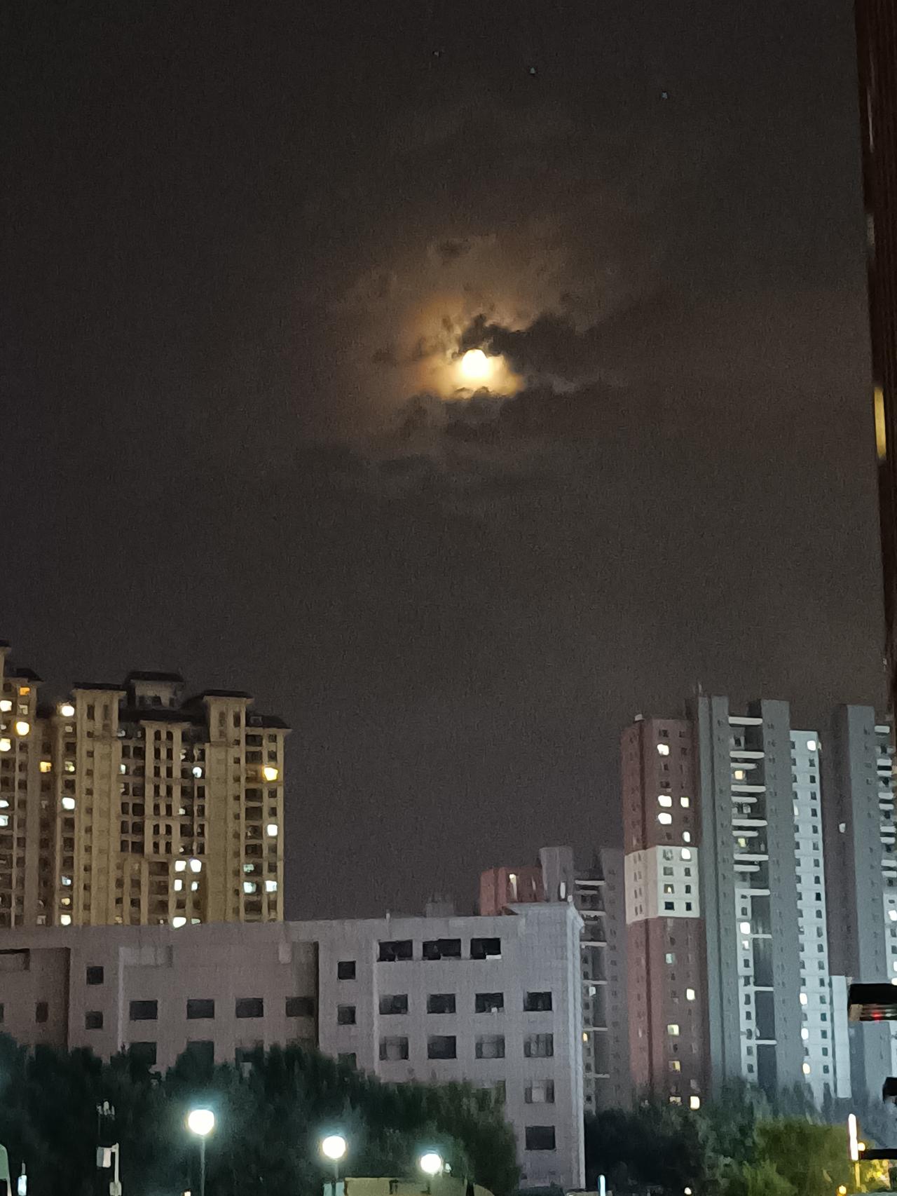 我可以允许你走进我的世界，但绝不允许你在我的世界里肆意“走来走去”。🚫

这不