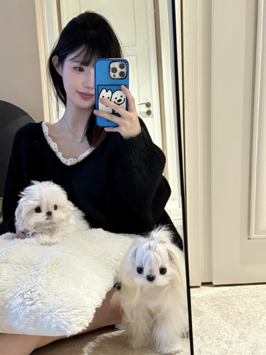 马尔济斯｜小狗知道自己很可爱吗💕