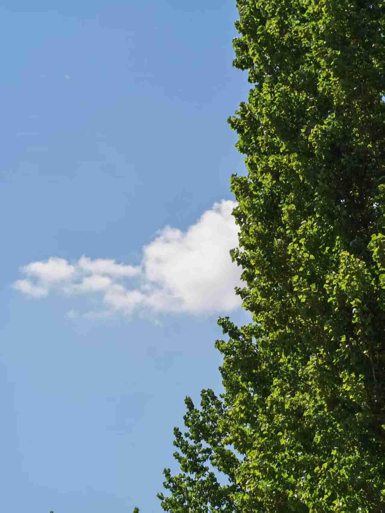 我的今日状态：😁轻松愉快
我这里的天气：🌤️多云
你对今天的气温感受如何? 