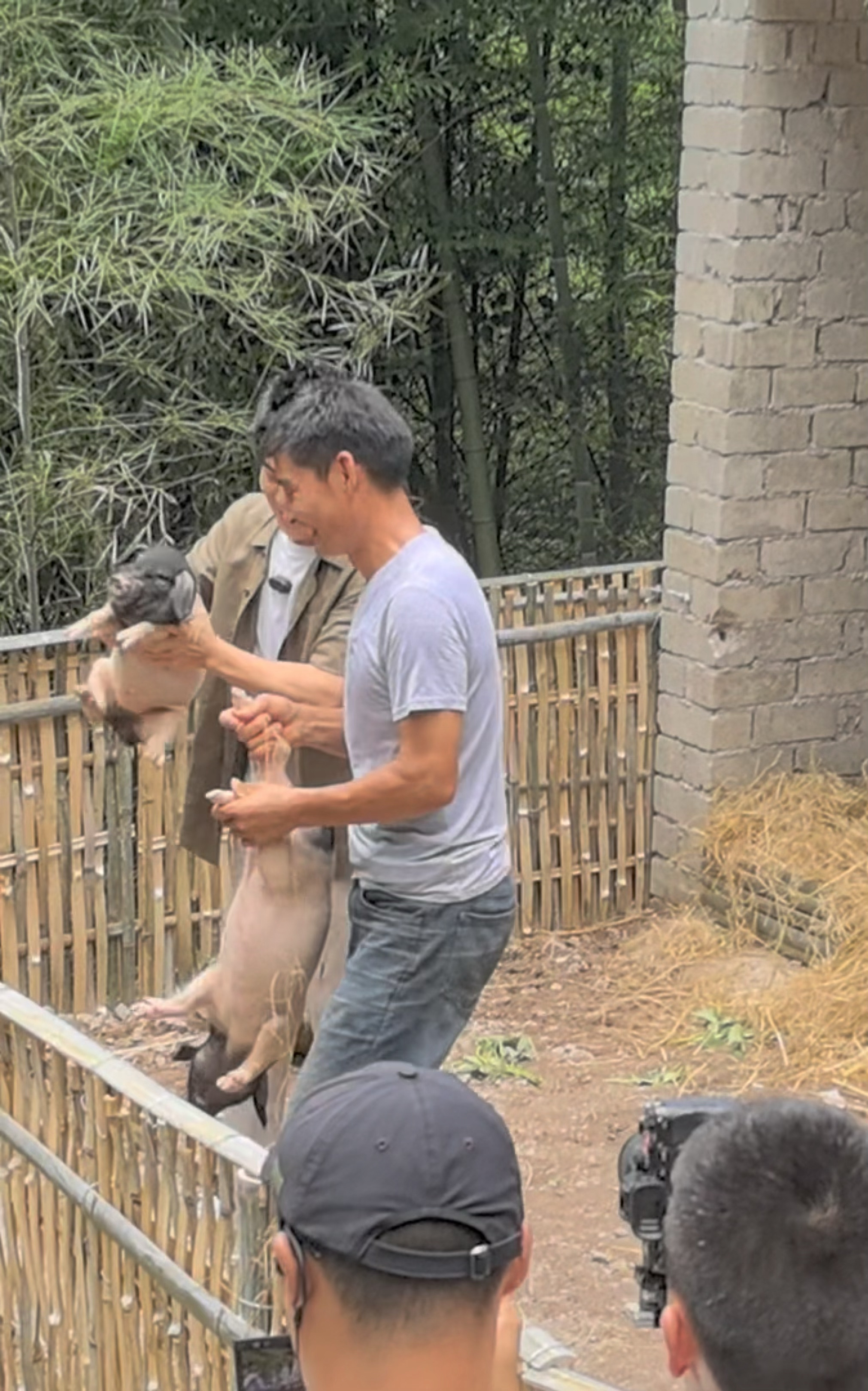 董宇辉抓猪惊呆龙洋 董宇辉在浙江金华与两头乌斗智斗勇，险胜小猪，龙洋在一旁都看呆