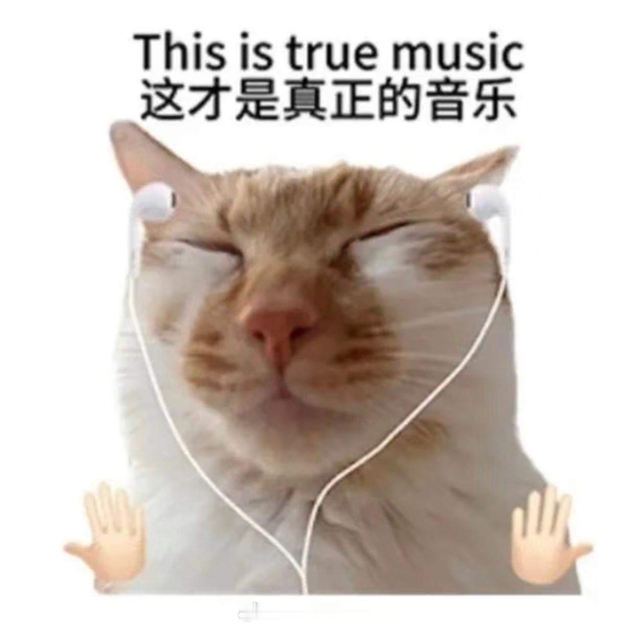 我一直以为自己是木耳朵……直到我心血来潮，翻出了吃灰已久的，森海塞尔Accent