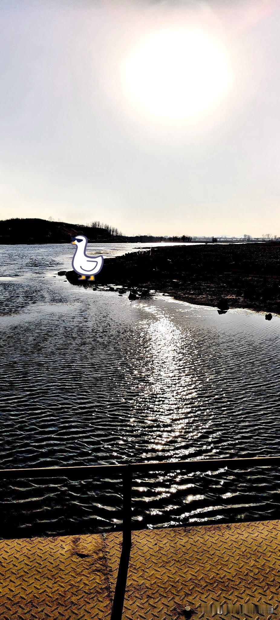 今天我特意绕路来到这条小河边，刚下车就被眼前的景象迷住了。
 
冬日的太阳明晃晃