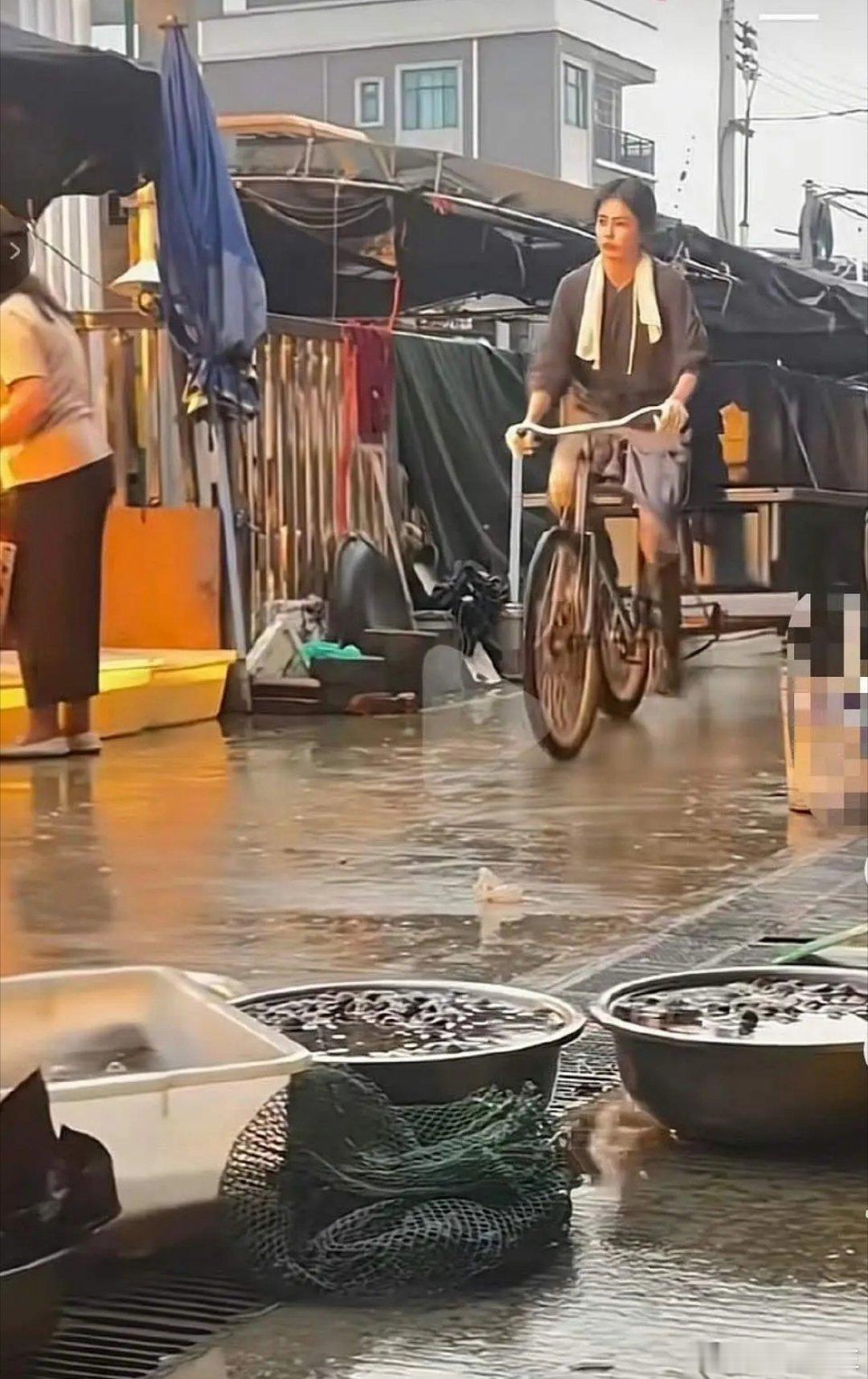 白鹿开到荼蘼被房东赶出来网友说白鹿找到了最适合自己的赛道