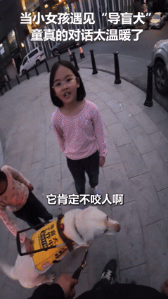 “这个小孩姐火到人民日报了！”小女孩遇见盲人带着导盲犬，脱口而出的一句童言，却让