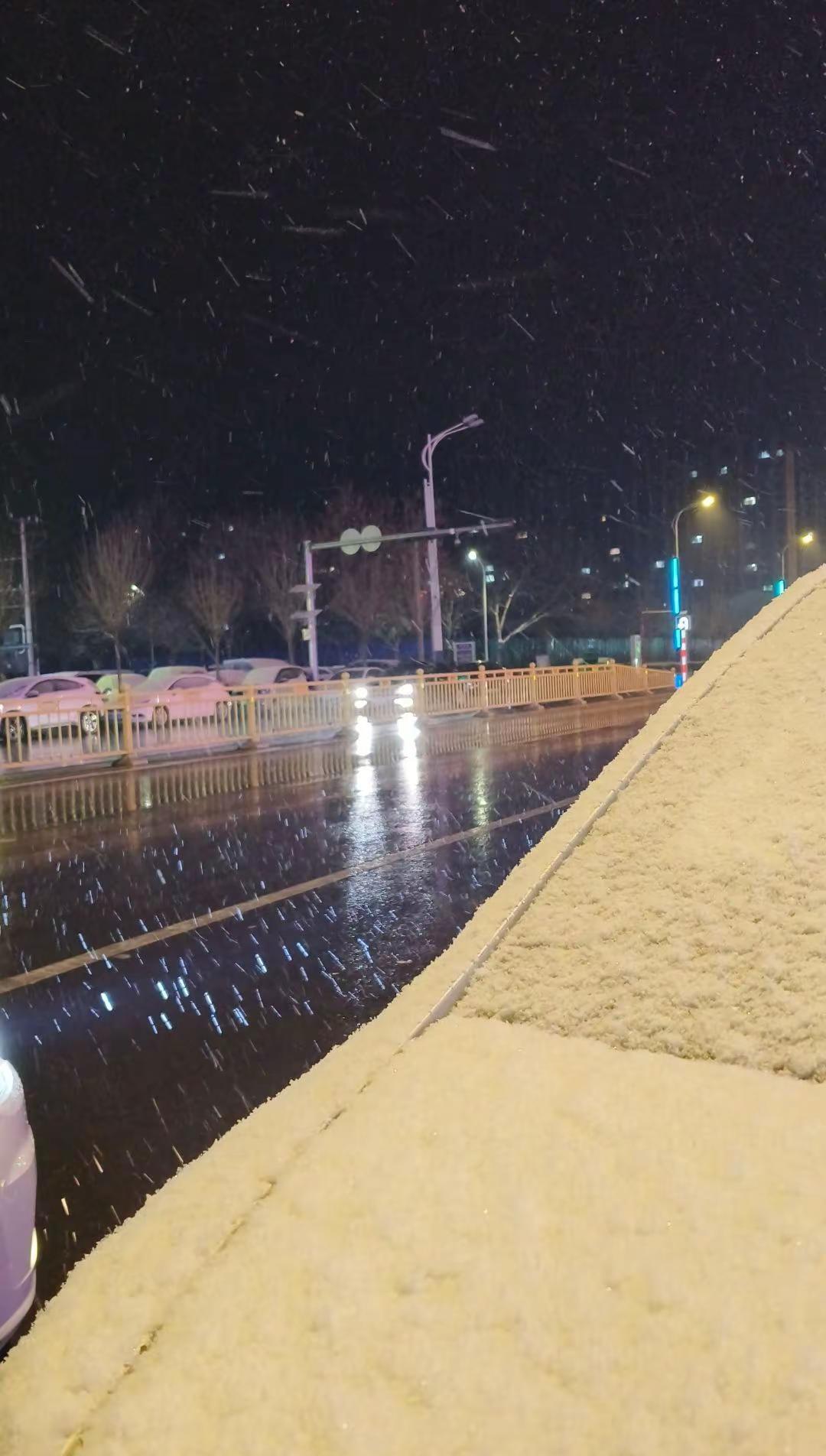 三月又春雪 又是被治愈的一天 三月雪 你那里下雪了吗
