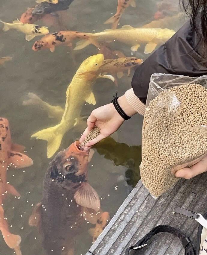 有生之年，最饱的一次[捂脸][捂脸]