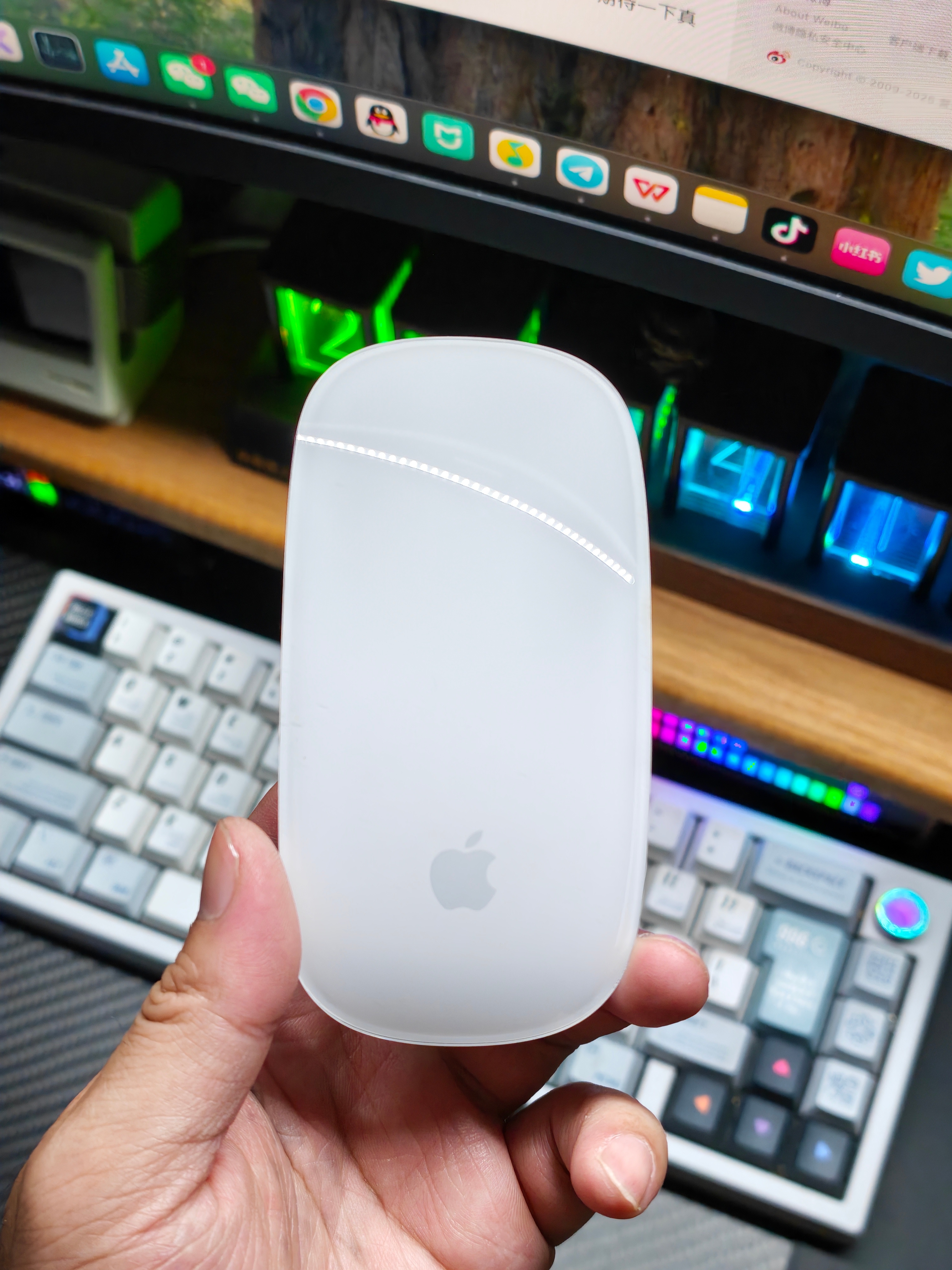 认识吗？16 年前的苹果鼠标。[卡皮巴拉]苹果第一代 Magic Mouse，还