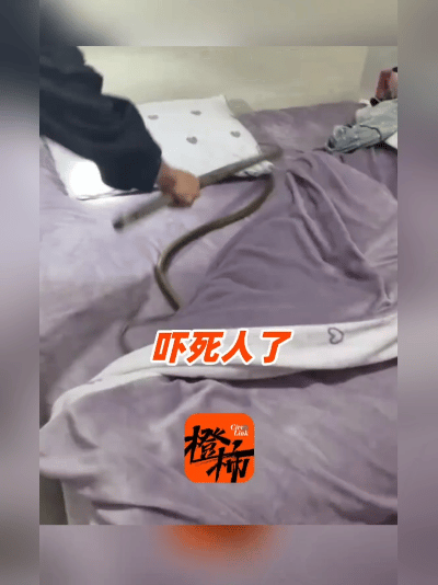 我的个亲娘哎！杭州林女士这晚的遭遇，换谁都得吓尿裤子！刚洗完澡裹着浴巾，脚刚沾床