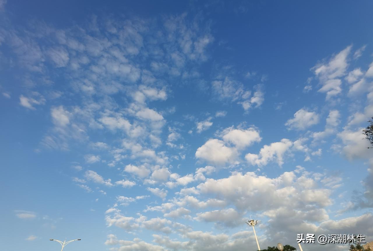 下个月深圳APEC就要召开了，这座城市正悄悄“焕新”！最近抬头，深圳的天格外蓝，