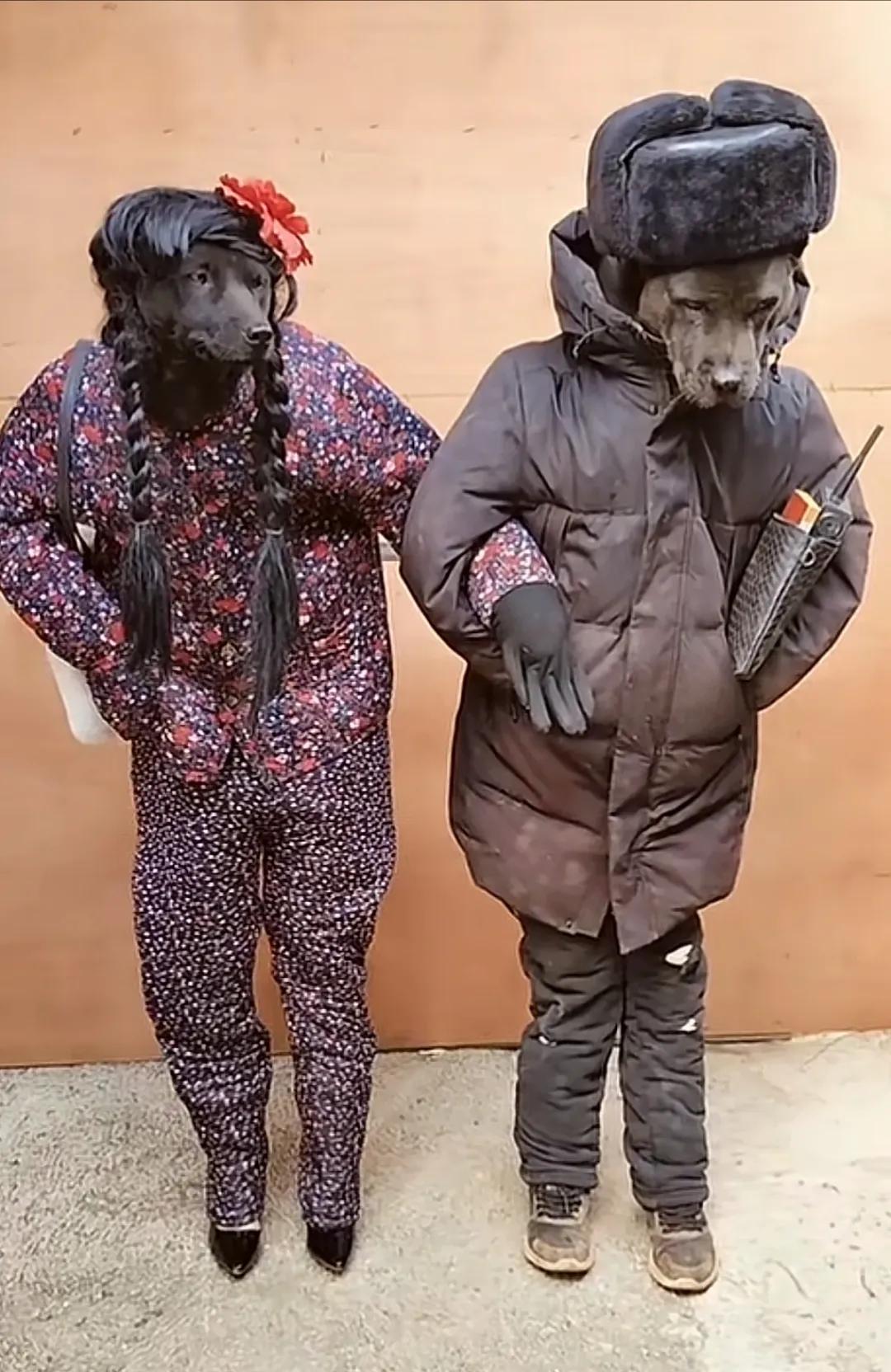 别说这一打扮还真的不敢认你了！哥已不是在当年的哥！[呲牙][呲牙][呲牙]