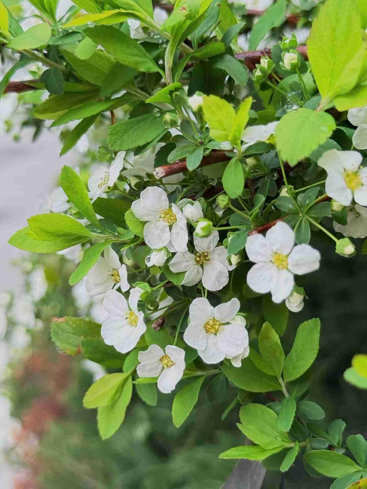 我的今日状态：😁轻松愉快
我这里的天气：☀️晴天