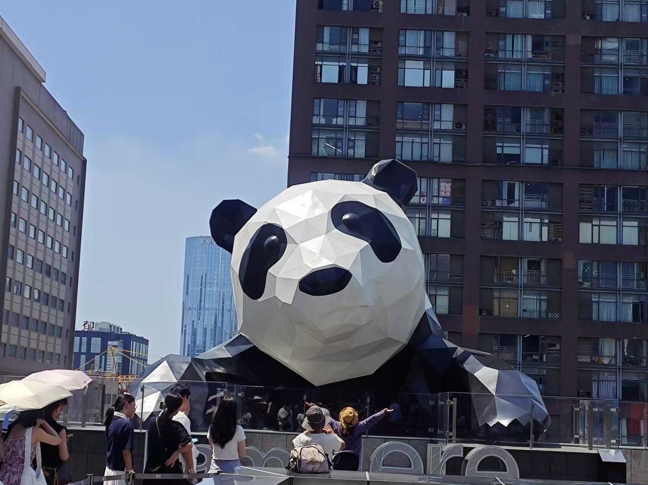 大熊猫没睡醒[笑哭]