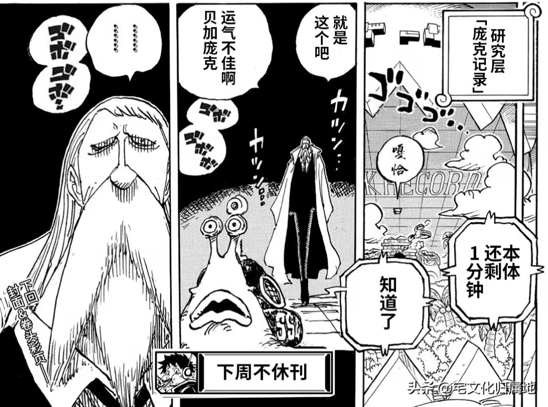 来猜测下，本周海贼王新剧情，出现在五老星火星面前的很可能就是炽天使，会是哪几台呢