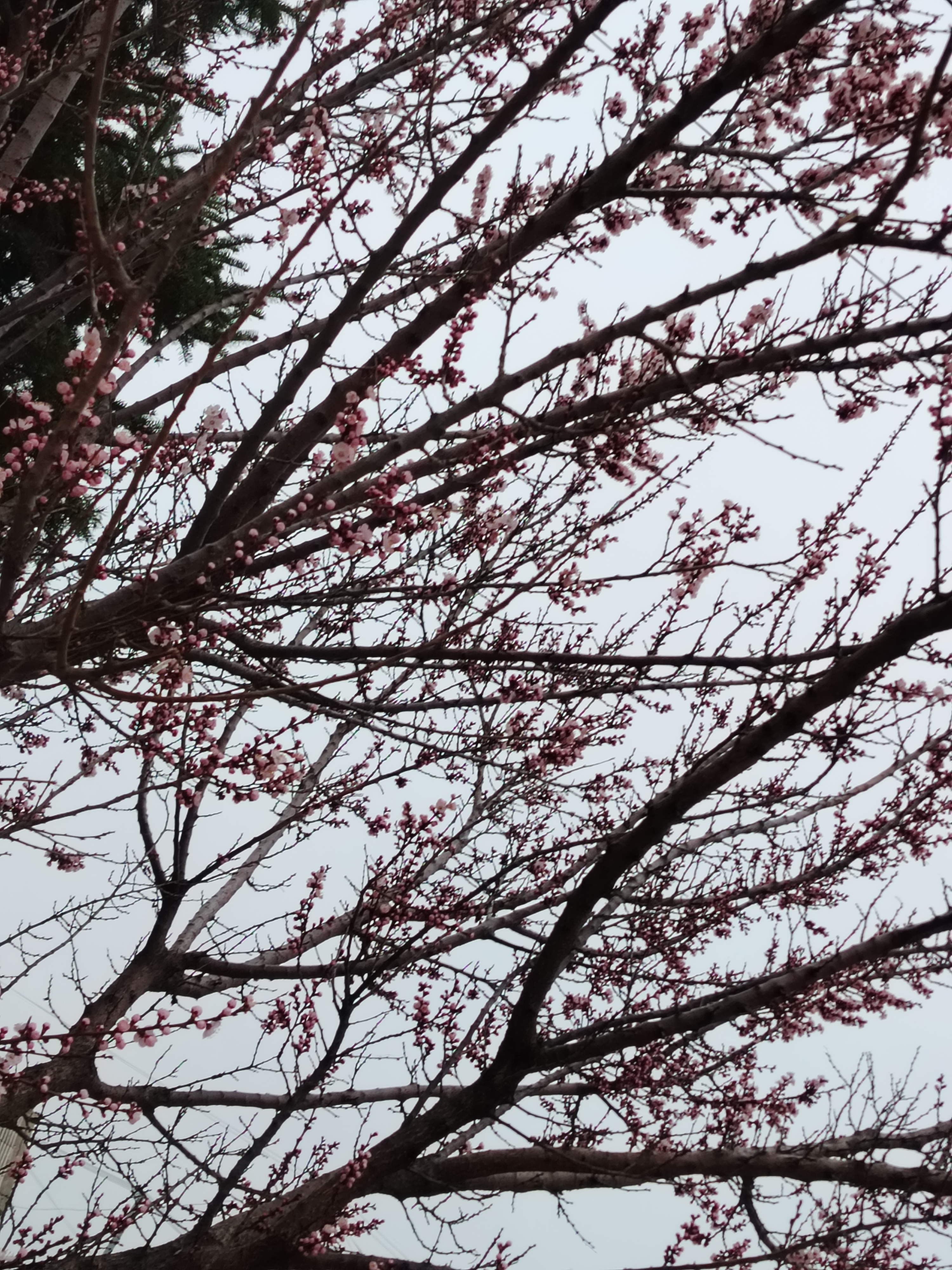 水饺皇后超级好看！！！！[加油][加油][加油]今天也特别开心！！！ ​​​