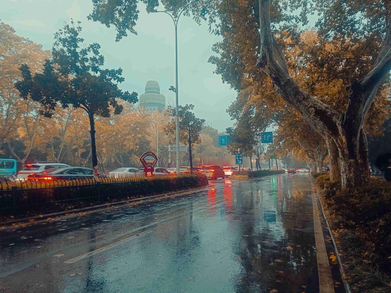 从霜降到立冬，这个15天，在我的心中都不可比拟。
一场雨，未曾把我困在这里!
带