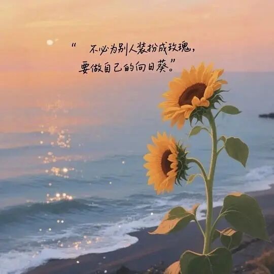 不必仰望别人的光芒，每个人都有自己的节奏。专注自我，深耕当下，放下焦虑，安静沉淀