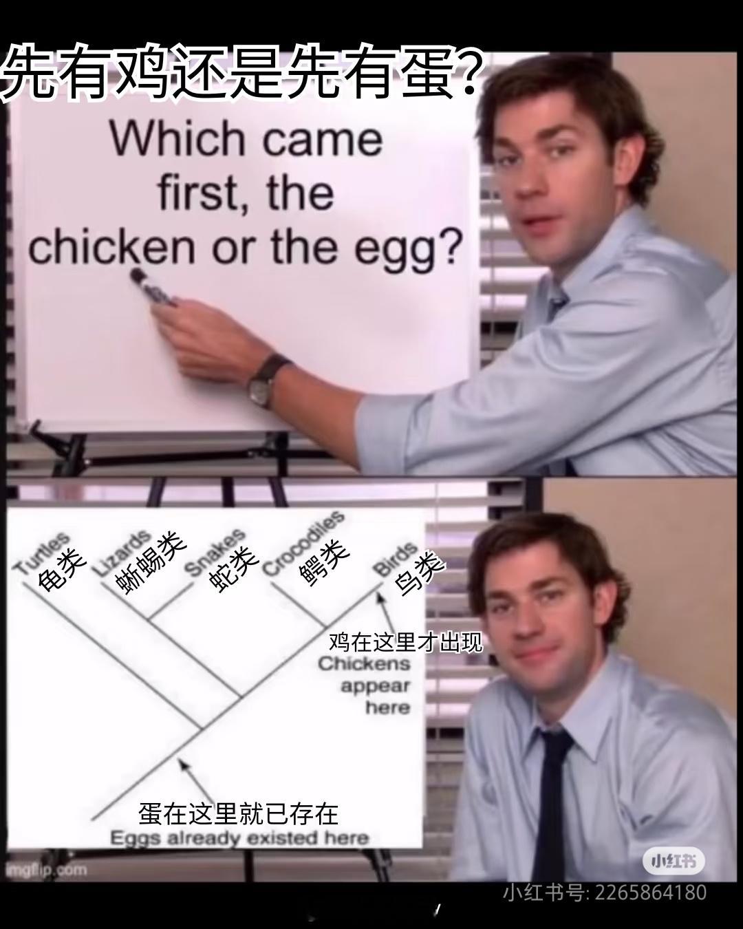 先有鸡还是先有蛋[哈哈][哈哈][哈哈] ​​​