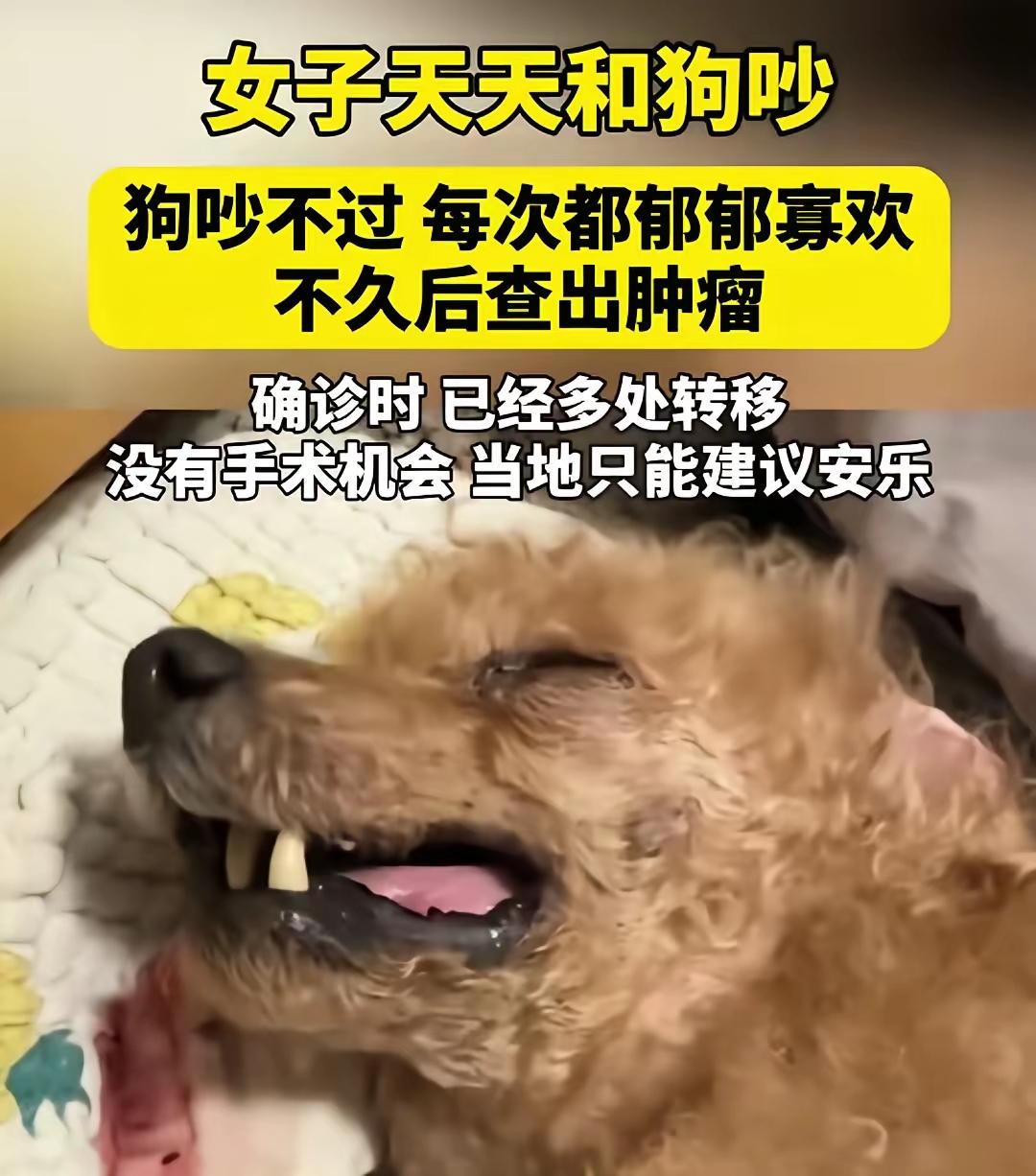 这女人有多厉害，都能把狗气死。[泪奔]