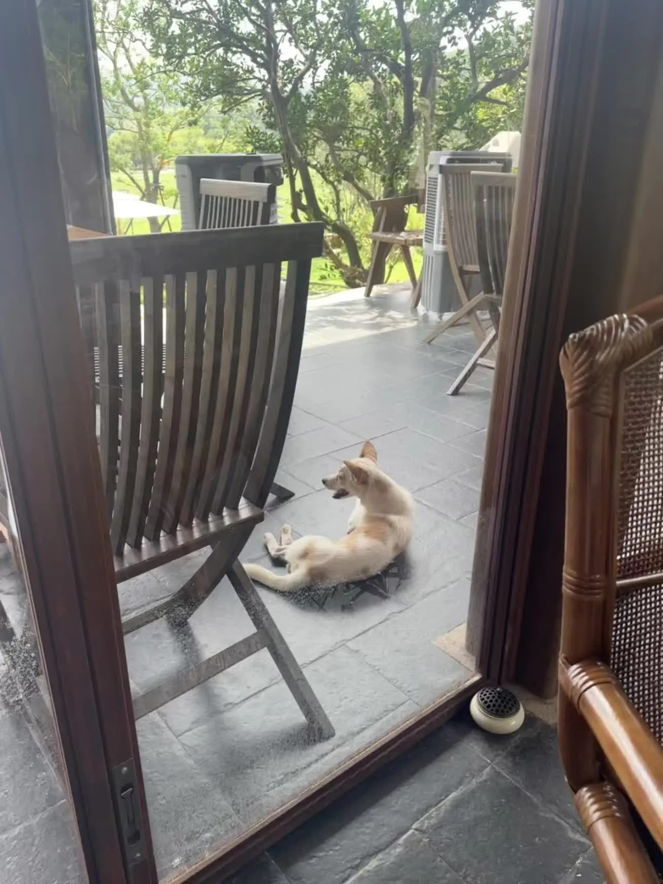 这个夏天太长了些，我想秋天了