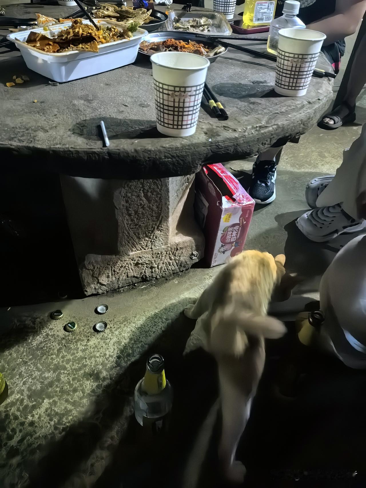 回到老家三天，
第一天晚上恰逢一亲戚长辈生日聚餐喝白酒，之后其中一人没有尽兴发起