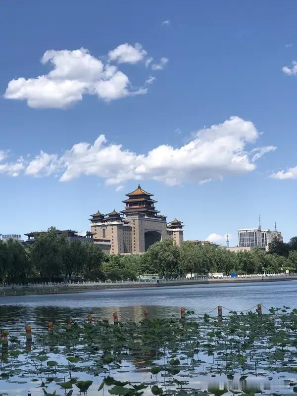 分享一首我结合参考信息“胡诌”的夏日打油诗：
《京城夏日游》
京城仲夏雨喧嚣，