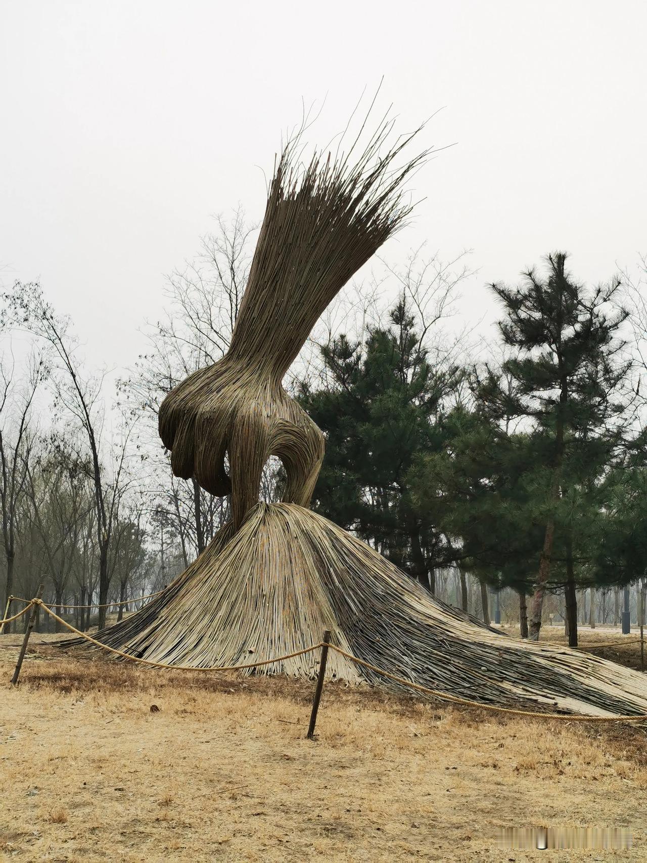 什么是“地景艺术塑像”‌ ？在这个公园内有这么多的精品供免费参观一一南苑森林湿地