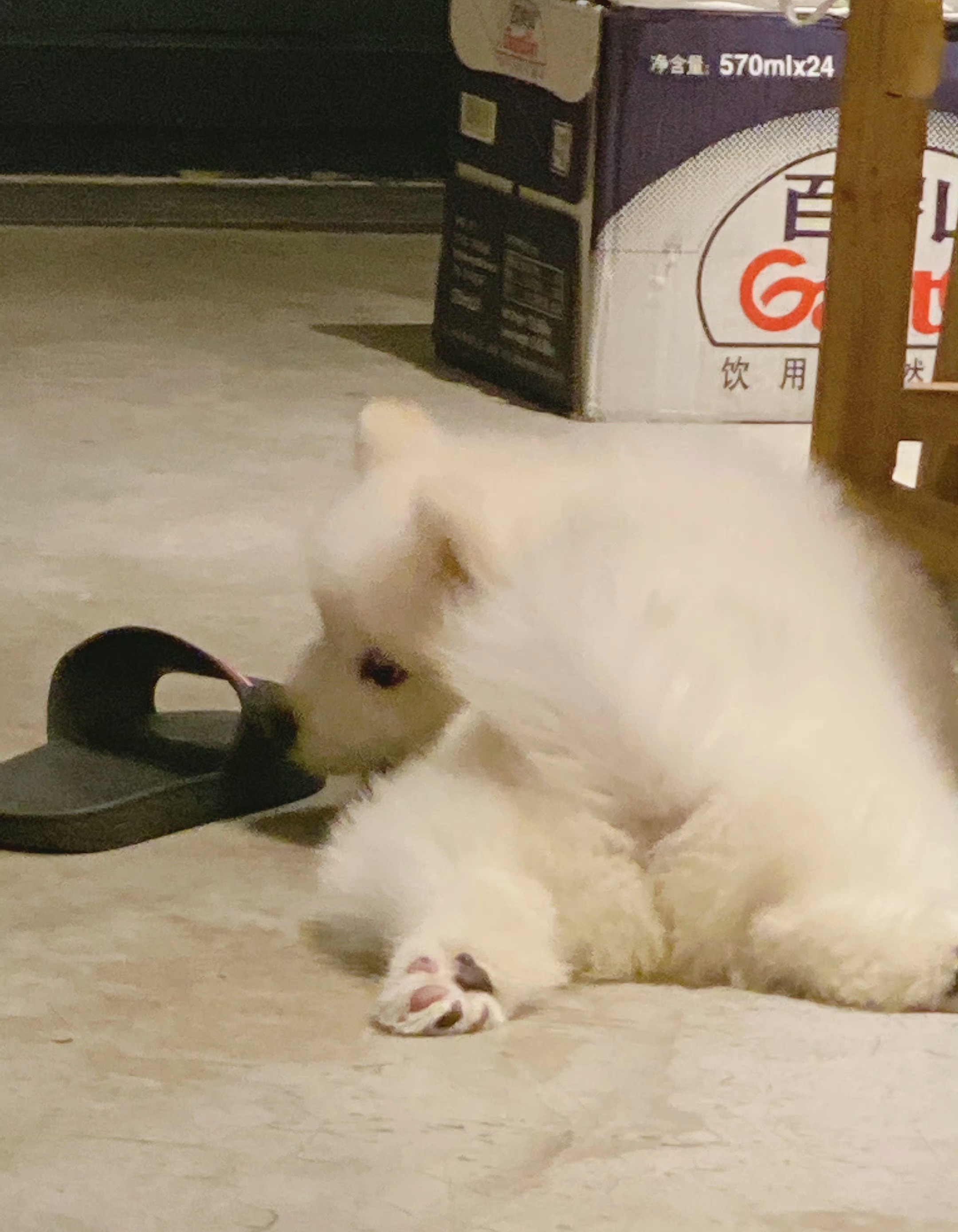 萌孩子