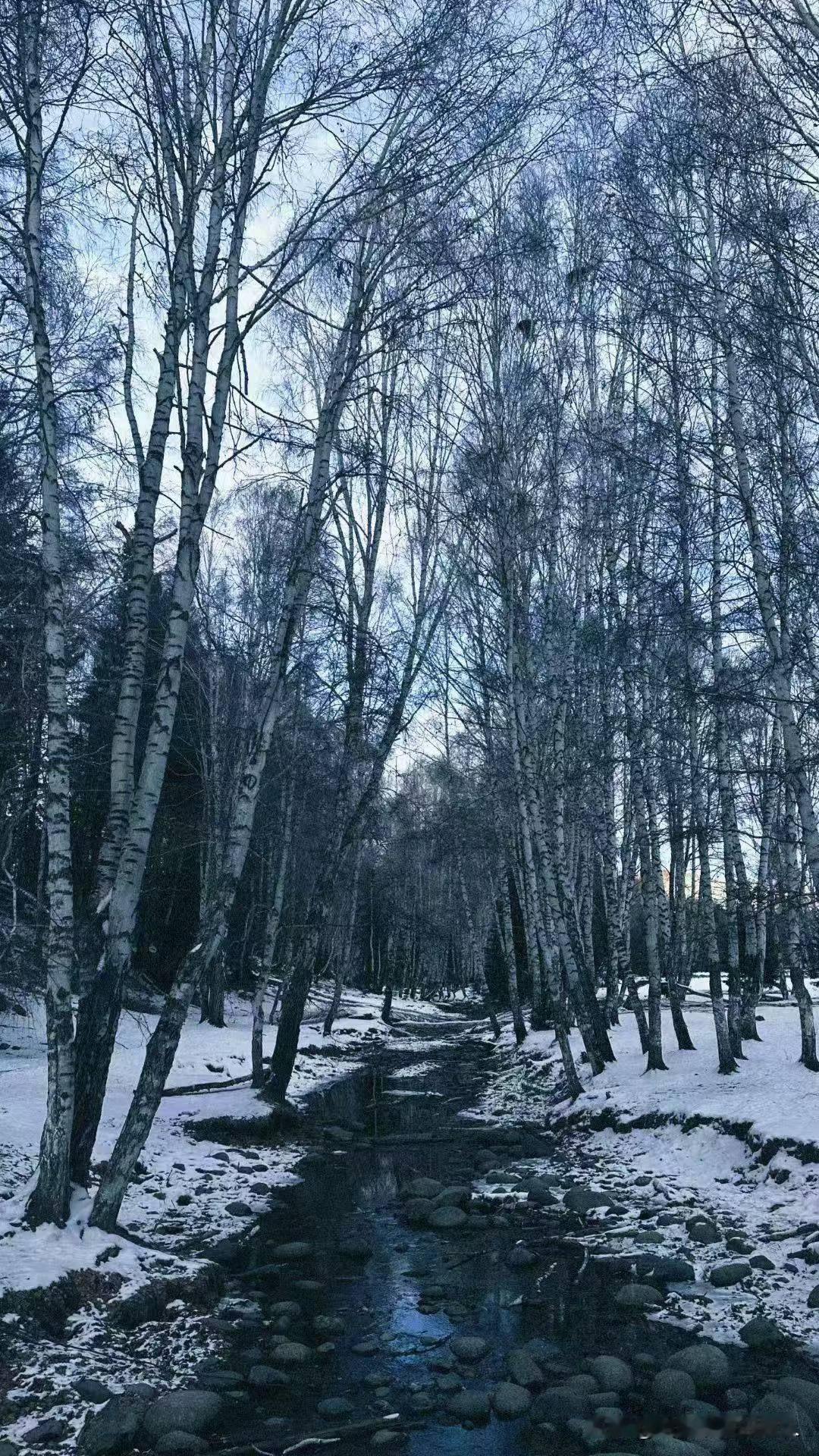 各有各的美，九寨沟是美，但是不能掩盖其他地方的美啊！
就和四大美女一样，你能说貂