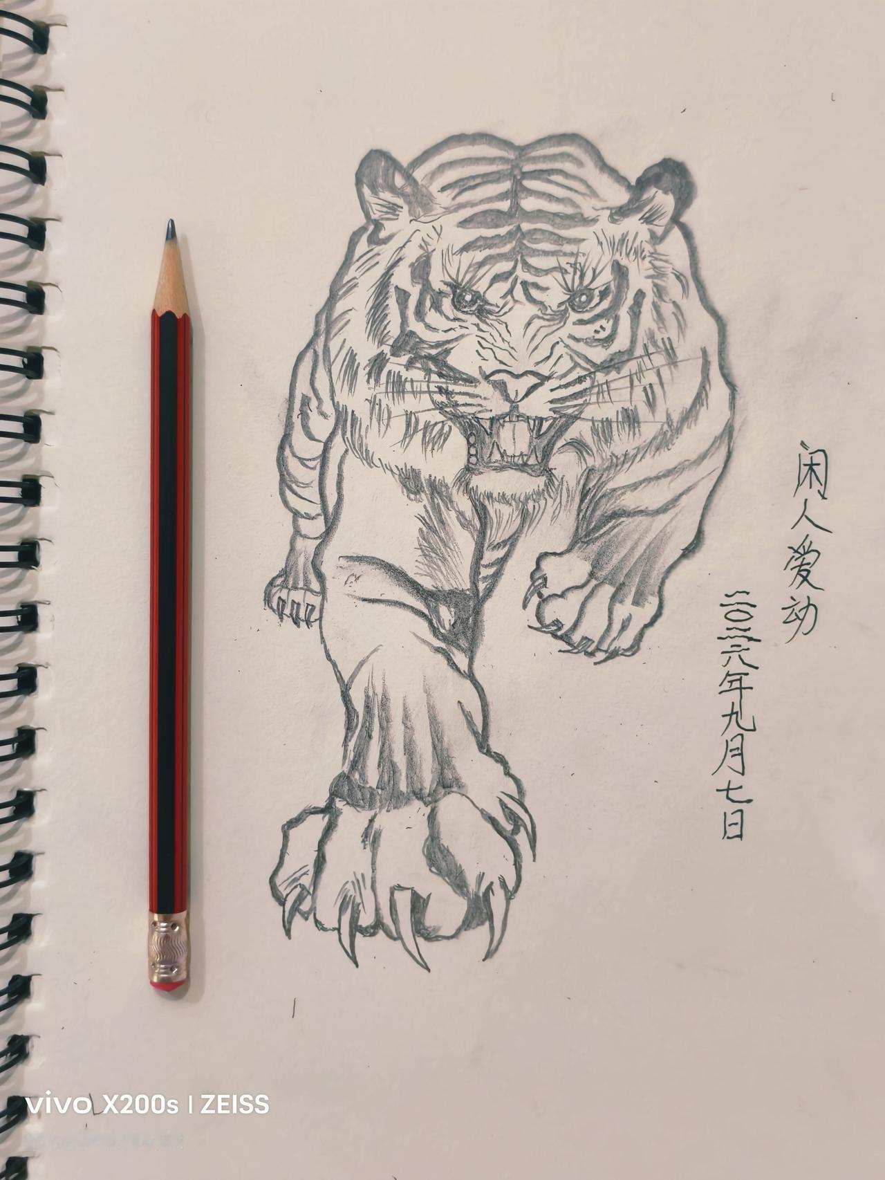秋虎依然在山下
        2026年9月7日是24节气的白露，但这些天的气